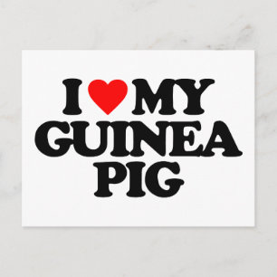 CARTE POSTALE J'ADORE MON PIG DE GUINÉE