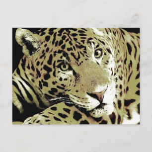 Carte Postale Jaguar