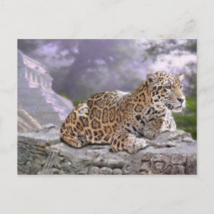 Carte Postale Jaguar et le temple maya