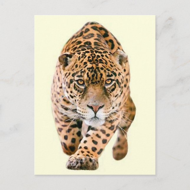 Carte Postale Jaguar Eyes (Devant)