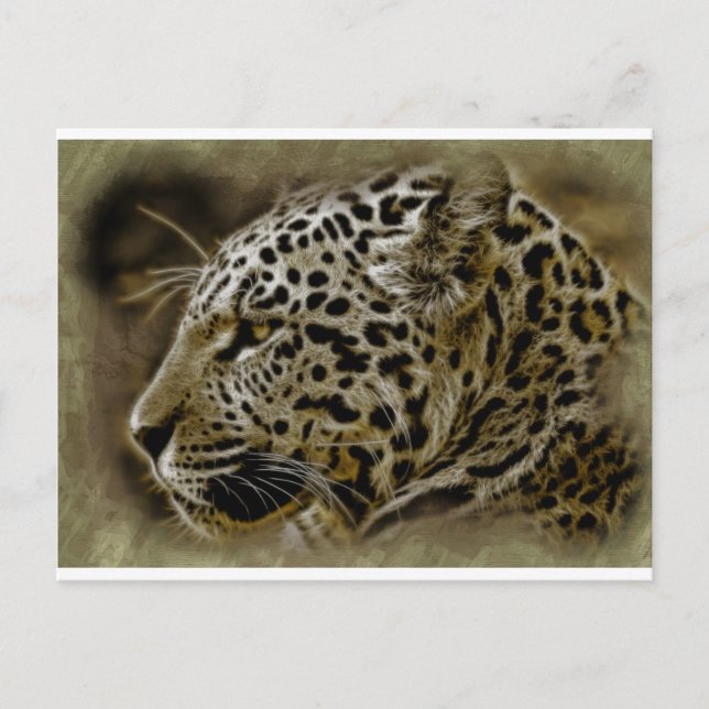 Carte Postale Jaguar Wild Cat Spots African Safari Destiny (Devant)