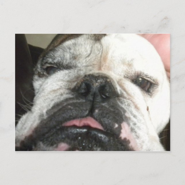 Carte Postale J'ai besoin d'arrêter de boire. (Devant)