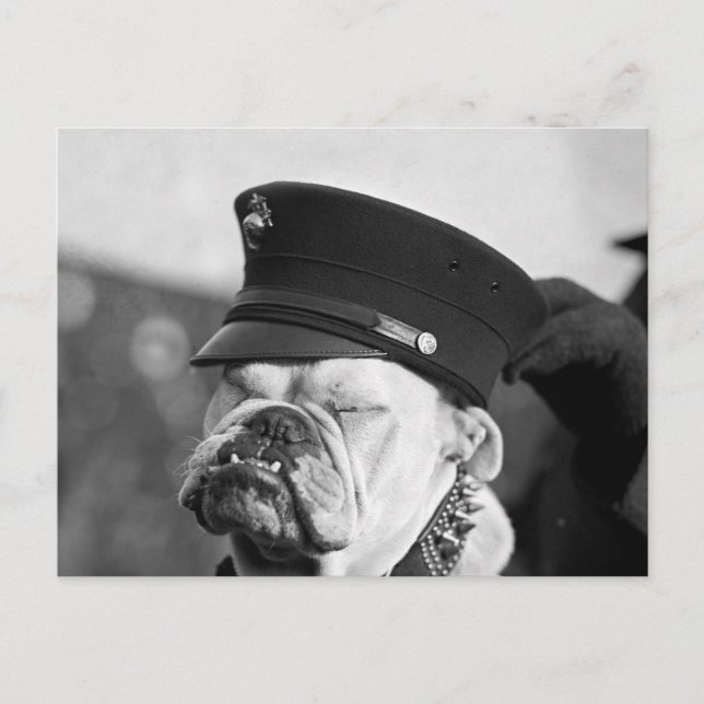 Carte Postale J'ai besoin d'une sieste : 1923 (Devant)