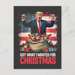 Carte Postale J'Ai Ce Que Je Voulais Pour Noël Trump Père Noël