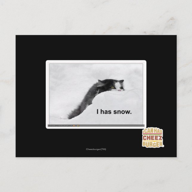 Carte Postale J'ai de la neige. (Devant)
