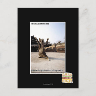 Carte Postale J'ai des pattes de shaolin de fureur