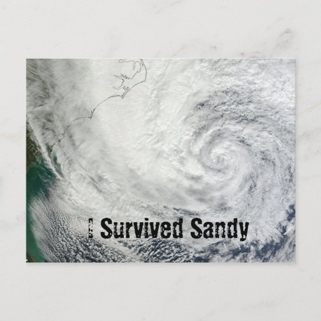 Carte Postale J'ai survécu à Sandy Postcard (Devant)