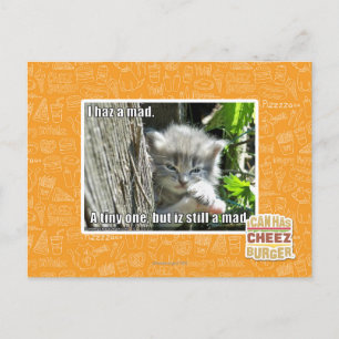 Carte Postale J'ai un fou