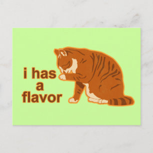 Carte Postale J'ai une saveur, LOL CAT