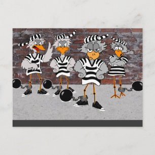 Carte Postale Jailbird Postcard