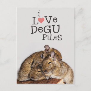 Carte Postale J'Aime Degu Piles