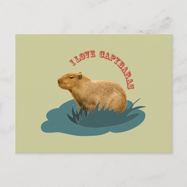 Carte Postale J'aime les capybaras (Devant)