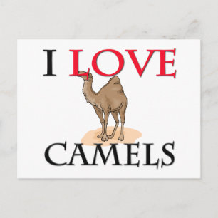 Carte Postale J'aime les chameaux