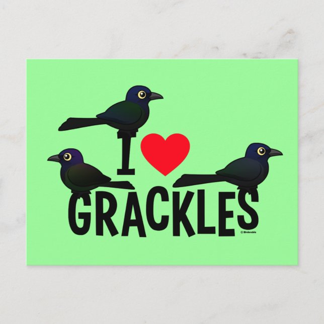 Carte Postale J'Aime Les Grackles (Devant)