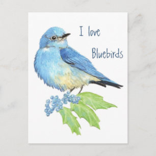 Carte Postale J'aime les oiseaux bleus, collection d'oiseaux