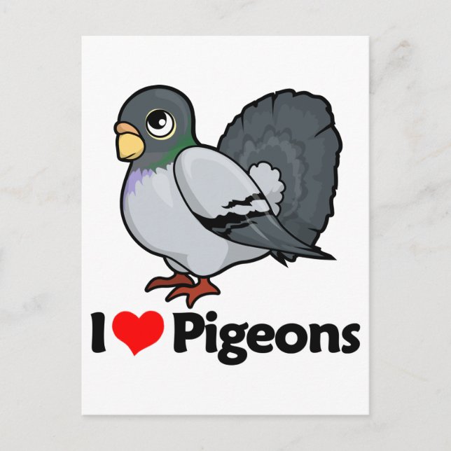 Carte Postale J'aime les pigeons (Devant)