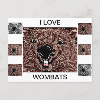 CARTE POSTALE J'AIME LES WOMBATS