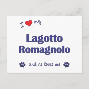 Carte Postale J'Aime Ma Lagotto Romagnolo (Chien Homme)
