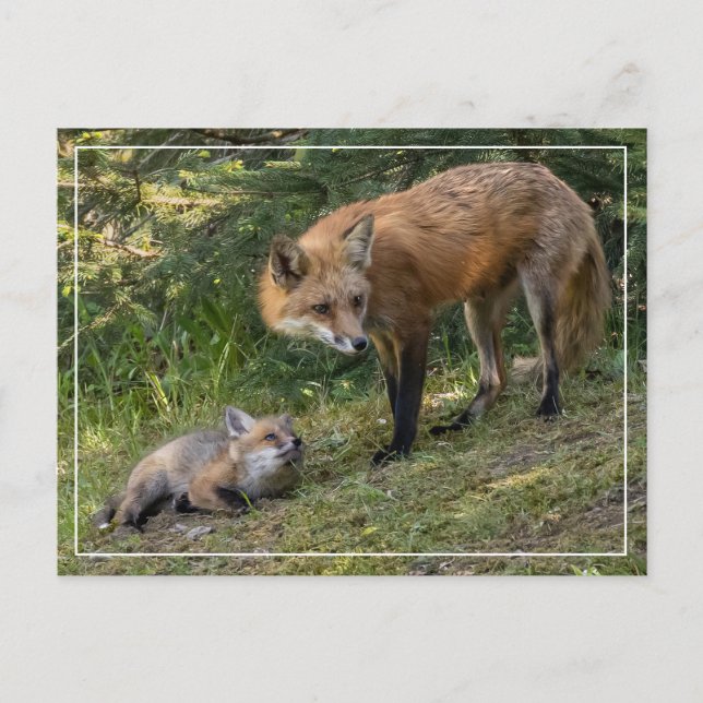 Carte Postale J'aime ma mère (Devant)