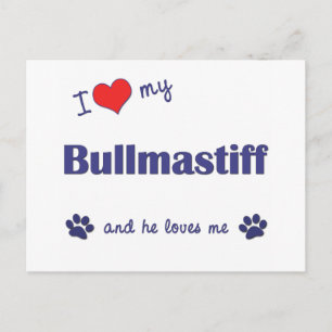 Carte Postale J'Aime Mon Bullmastiff (Homme Chien)