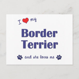 Carte Postale J'Aime Mon Terrier Frontalier (Chien Féminin)