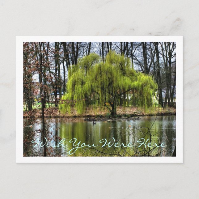 Carte Postale J'Aimerais Que Vous Étiez Ici (Devant)