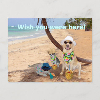 Carte Postale J'Aimerais Que Vous Étiez Ici !