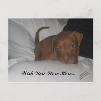 Carte Postale J'Aimerais Que Vous Soyez Ici...