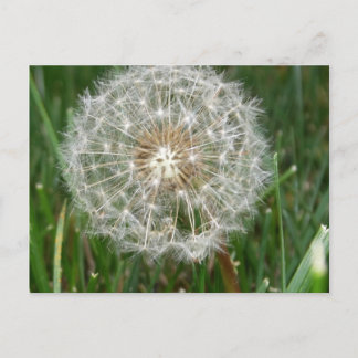 Carte Postale J'aimerais que vous soyez ici