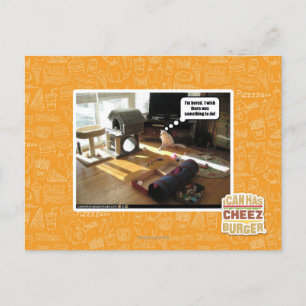 Carte Postale J'aimerais qu'il y ait quelque chose à faire