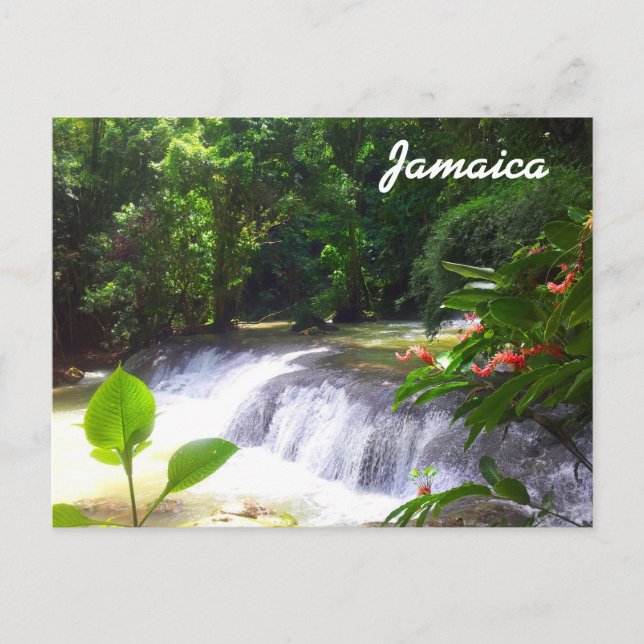 Carte Postale Jamaïque (Devant)