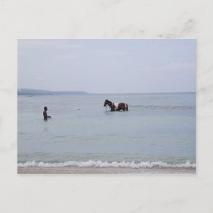 Carte postale Jamaïque