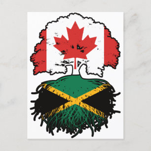 Carte Postale Jamaïque Jamaïcaine Canadian Canada Tree Roots Dra
