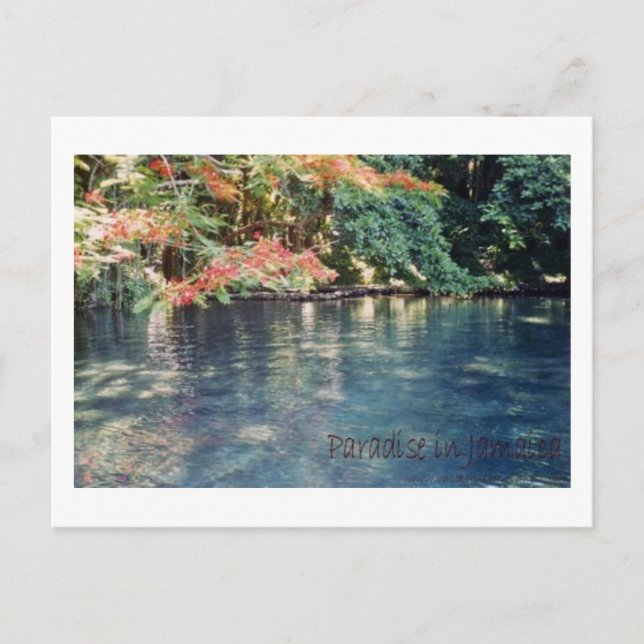 Carte postale Jamaïque Paradise (Devant)