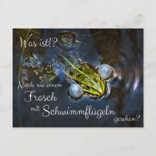 Carte Postale Jamais vu une grenouille avec des ailes flottantes