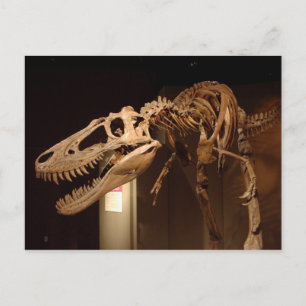 Carte Postale Jane - Vue #6