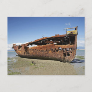 Carte Postale Janie Seddon Shipwreck, Motueka, Nelson