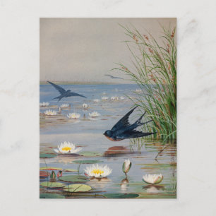 Carte Postale Janvier   Fidelia Bridges