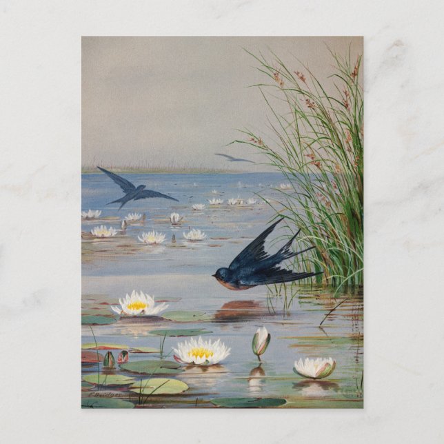 Carte Postale Janvier | Fidelia Bridges (Devant)