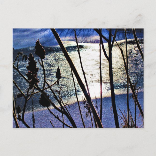 Carte Postale Janvier Soleil sur la neige de glace Sumac Motifs  (Devant)