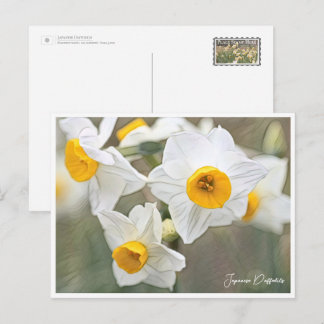 Carte Postale Japanese Daffodils