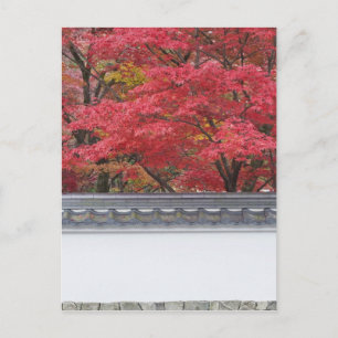 Carte Postale Japon, Kyoto, Couleurs d'automne au temple Eikando