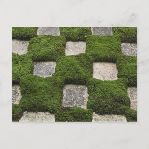 Carte Postale Japon, Kyoto, temple Tofukuji, jardin