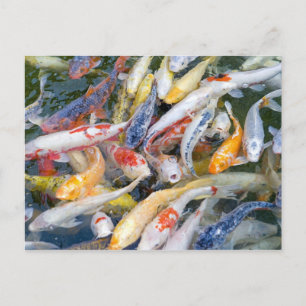 Carte Postale Japon, Tokyo, poisson de piscine gros