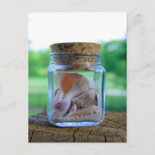 Carte postale Jar of Sea Shells