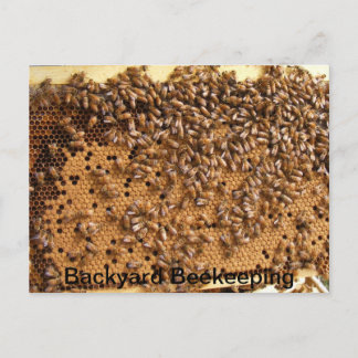 Carte Postale Jardin apiculture