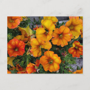 Carte Postale Jardin automnal