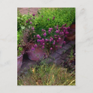 Carte Postale Jardin aux herbes