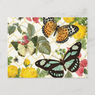 Carte Postale jardin aux papillons vintages