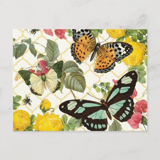 Carte Postale jardin aux papillons vintages (Devant)